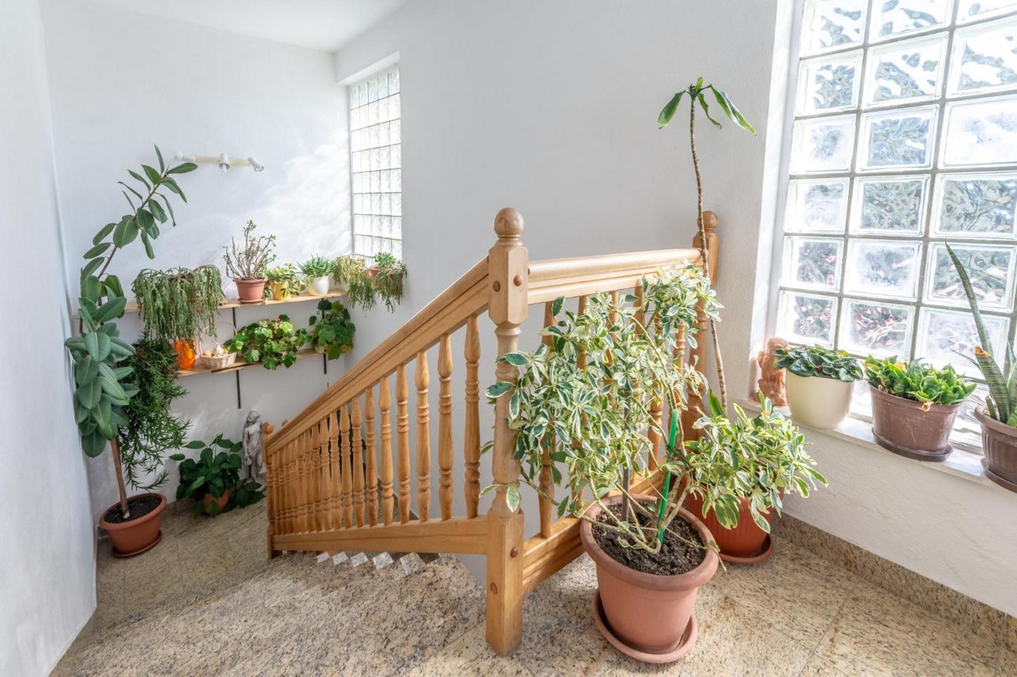 Apartments Mimi トロギール 部屋 写真