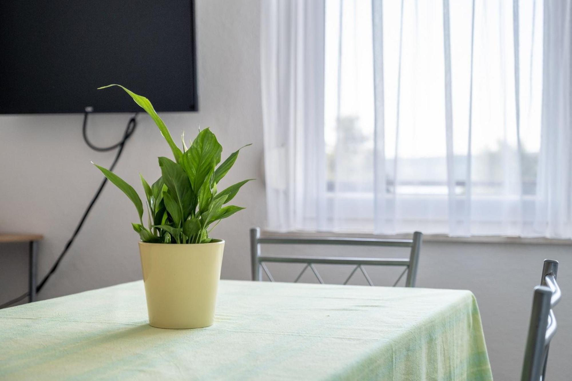 Apartments Mimi トロギール 部屋 写真
